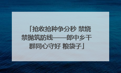 抢收抢种争分秒 禁烧禁抛筑防线——郎中乡干群同心守好 粮袋子